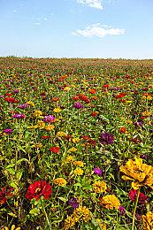 《刺客信条》VR游戏《刺客信条：多重视界》首批实机截图